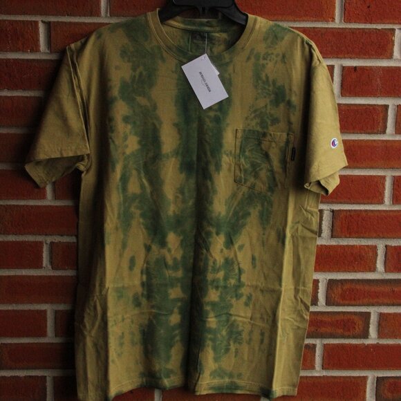 Lizard - Picture 2 of 7